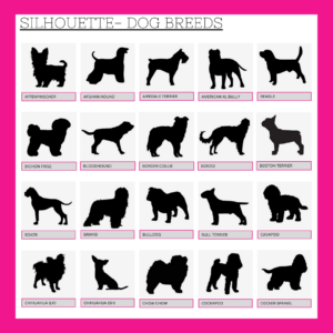 Custom Icons Pet Dog Cat Jar Treats by More Than Crackers