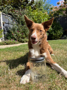 Silver Lid Custom Pet Treat Jar dog