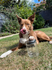 Silver Lid Custom Pet Treat Jar